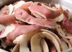 Composting potato peels background.